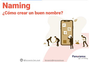 Ebook Naming